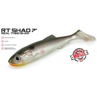 Molix Rt Shad 7