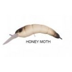 Herakles Moth Sinking