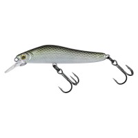 Molix Jubarino