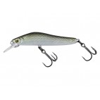 Molix Jubarino