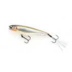 Dilemma Popper 70