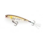 Dilemma Popper 70