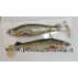 Stealth Swimmer 160 3d