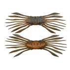 Drift Crab 45