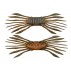 Drift Crab 45