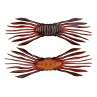 Drift Crab 45