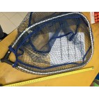 Carson Testa Guadino New