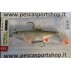 Deephunter Swimbait 14 Cm - 50 Gr