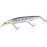 Shore Line Shiner Z Vertice R Laser Impact 125 S CHART HEAD IWASHI