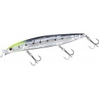 Shore Line Shiner Z Vertice R Laser Impact 125 S CHART HEAD IWASHI