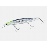 Shore Line Shiner Z Vertice R Laser Impact 125 S CHART HEAD IWASHI