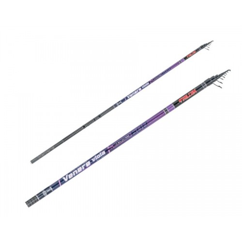 Falcon Venere Viola