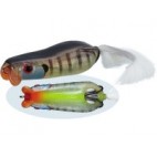 Showerblows Softshell