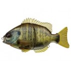 Bream Slide