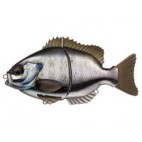 Bream Slide