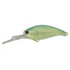 Evoke Shad