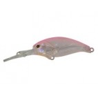 Evoke Shad