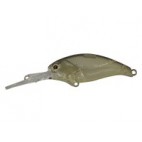 Evoke Shad