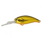 Evoke Shad