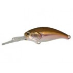 Evoke Shad