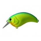 Evoke 1.2
