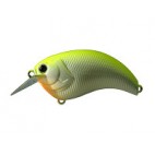 Evoke 1.2
