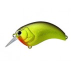 Evoke 1.2