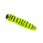 Molix Caimano Worm