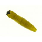 Molix Caimano Worm