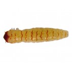 Molix Caimano Worm