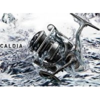 Daiwa Caldia Lt