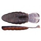 Dolive Ss-gill 3.6