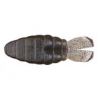Dolive Ss-gill 3.6