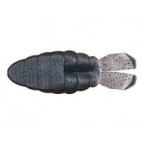 Dolive Ss-gill 3.6