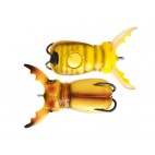 Molix-supernato-beetle-baby