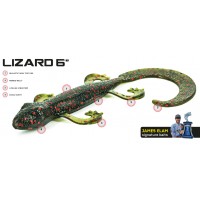 Lizard 6