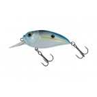 Molix Sculpo Mr Rattlin