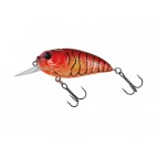 Molix Sculpo Mr Rattlin