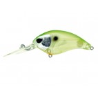 Molix F Crank Dr Version
