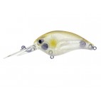 Molix F Crank Dr Version