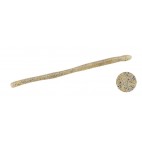 Realis Wriggle Crawler 5,8